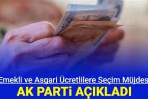 Emeklilere Ek Sosyal Destek: Asgari Ücretli Emeklilere Müjde